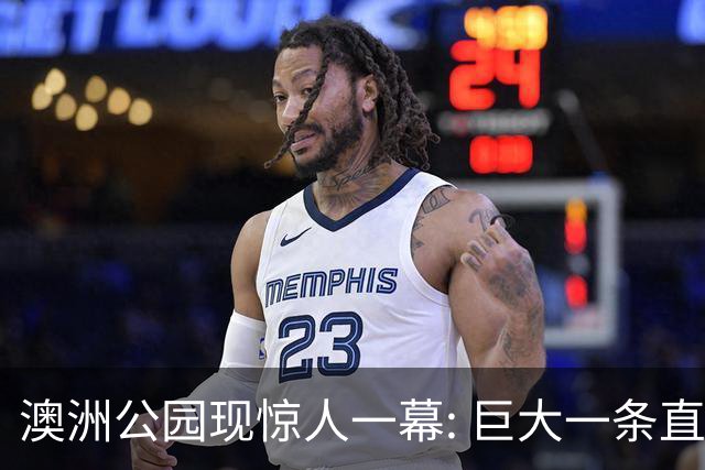澳洲公园现惊人一幕: 巨大一条直接背走, 视频全网疯传! 官方发声